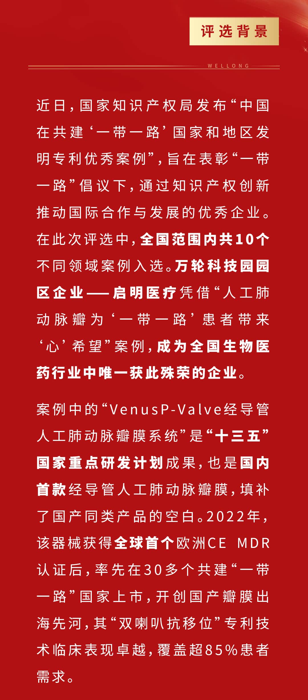 專利優(yōu)秀案例項目_02.jpg